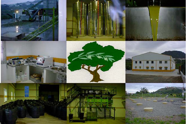 Collage de las instalaciones de Olivarera Manzanilla Aloreña